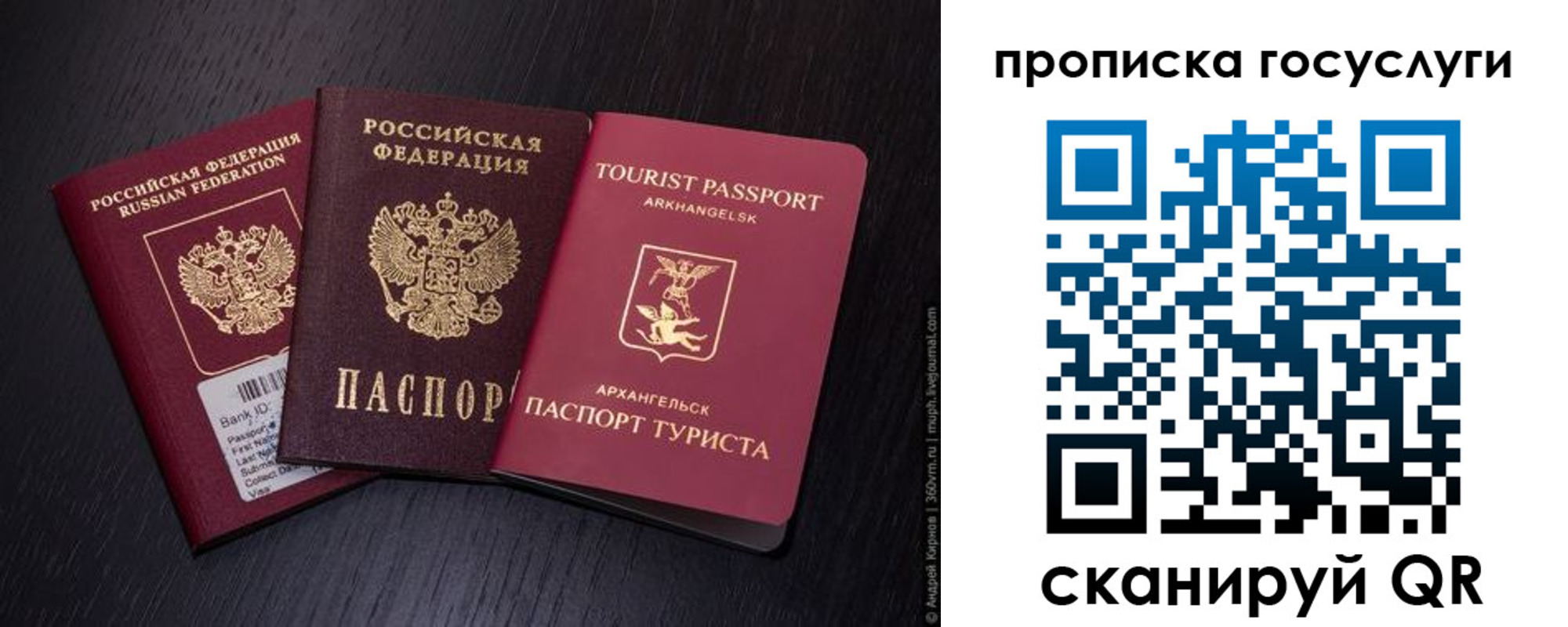 прописка 2025 в Лосино-Петровском
